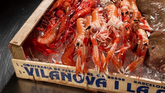 Masterclass de la Gamba de Vilanova